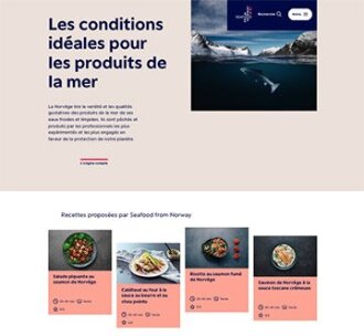 Screenshot of french website