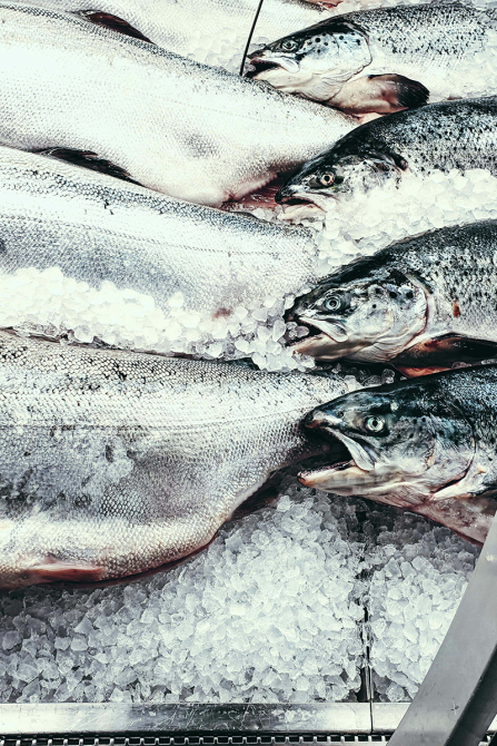 Frozen fish